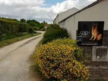 impasse-menant-chez-coach-canin-16-educateur-canin