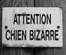 une-pancarte-blanche-indique-attention-chien-bizarre-par-coach-canin-16-educateur-canin-charente